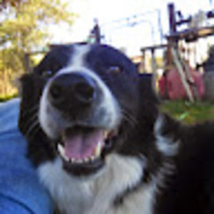 Meet your Posher, Steve